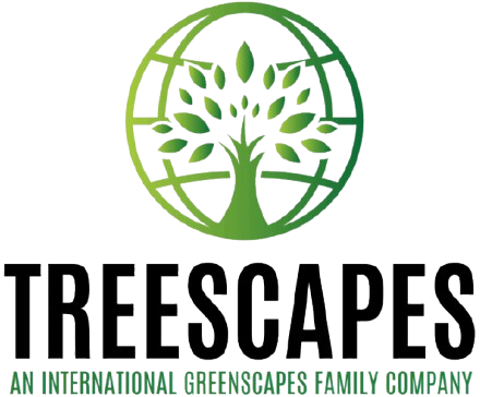 Screenshot 2025 04 02 195037 removebg preview e1743606022506