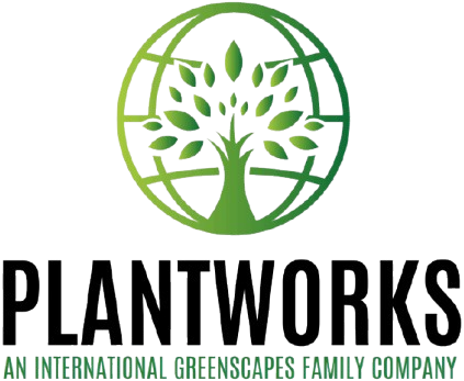 Screenshot 2025 04 02 195058 removebg preview e1743606895234