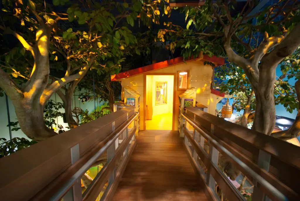 BANYAN CMON 2 scaled