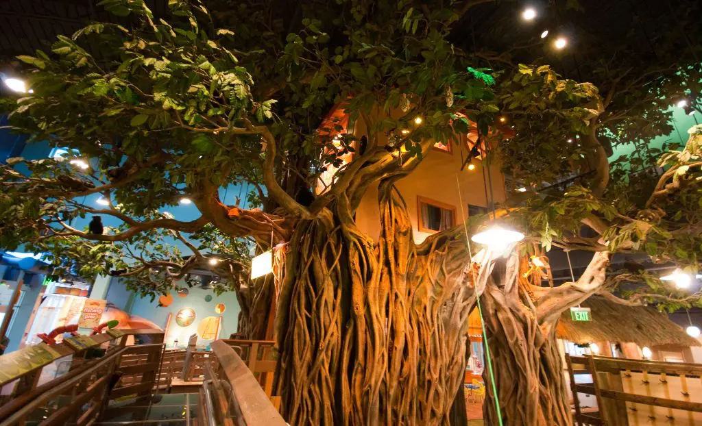 BANYAN CMON 3 scaled