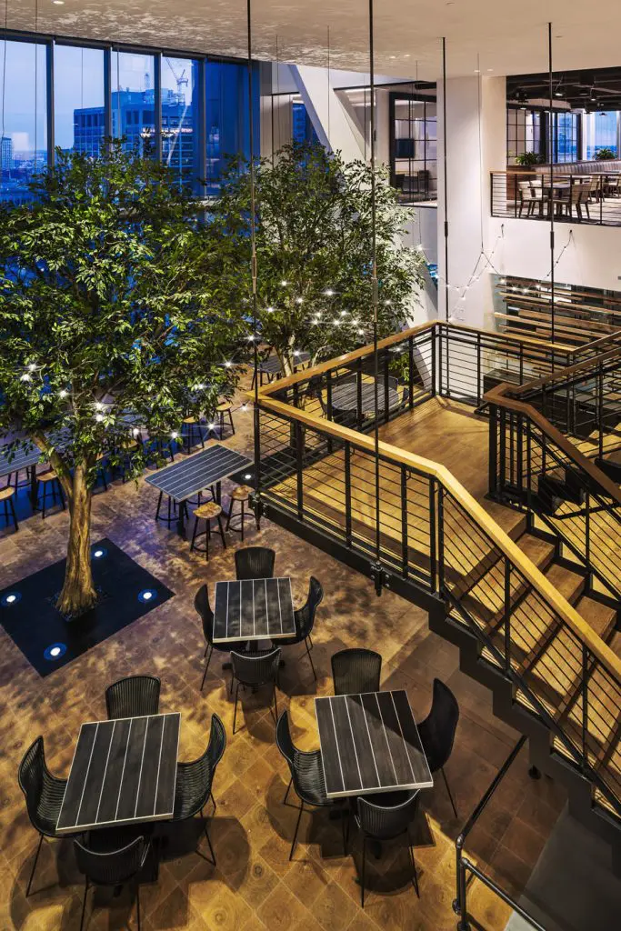 Ficus Comcast TheMarket 1