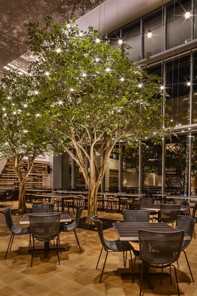 Ficus Comcast TheMarket 3 1