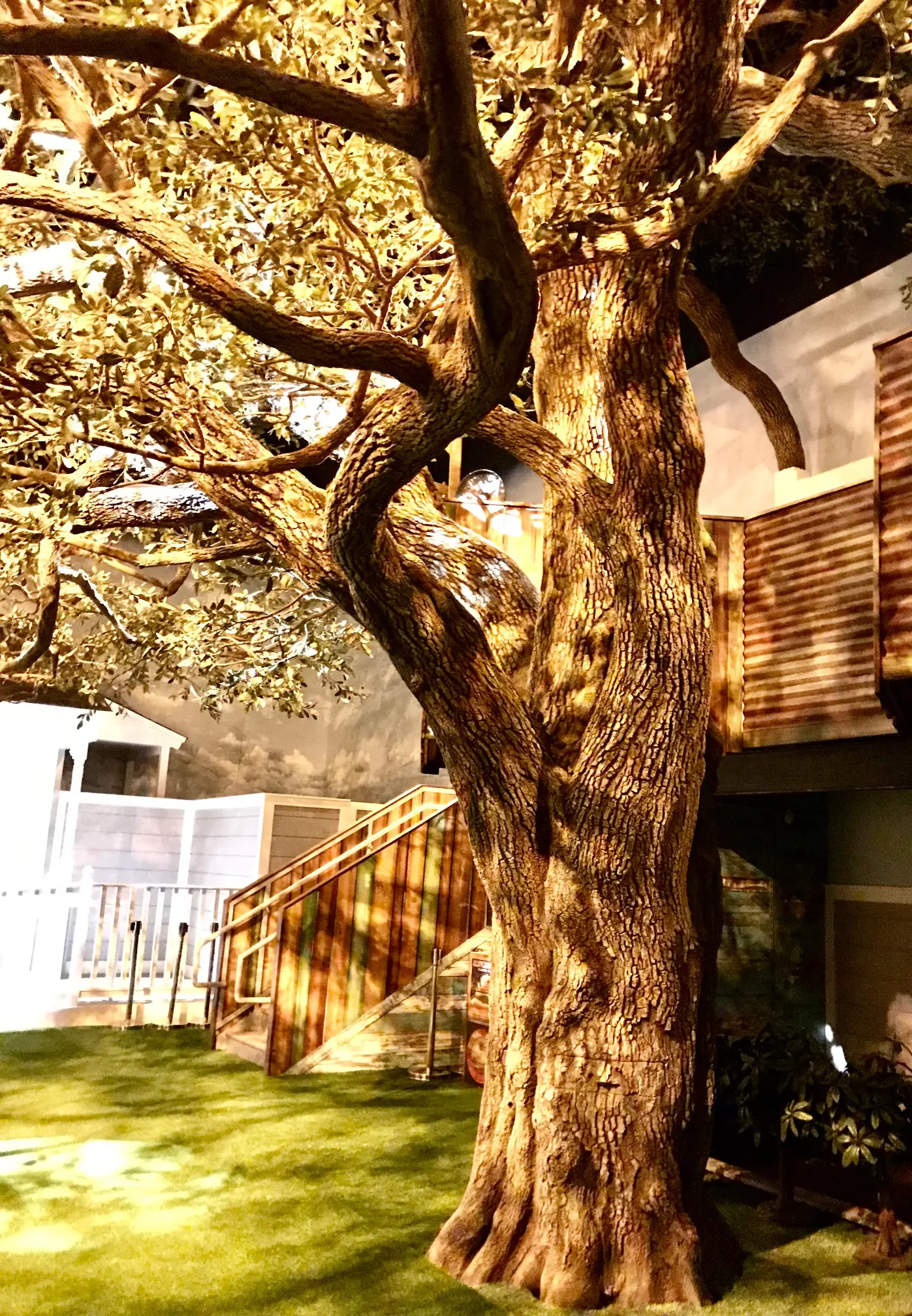 OAK SOUTH FLORIDA 12 1