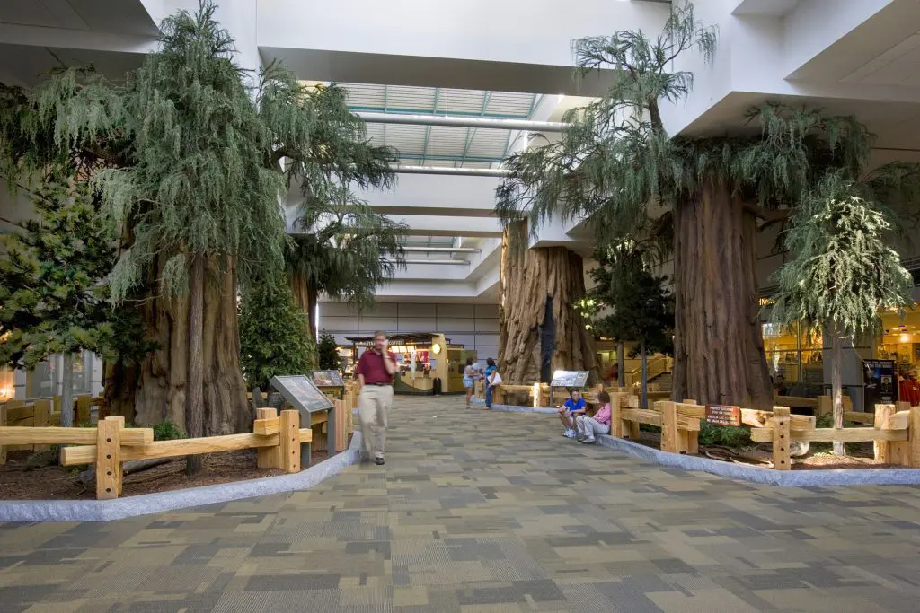 Sequoiascape Fresno Airport 3