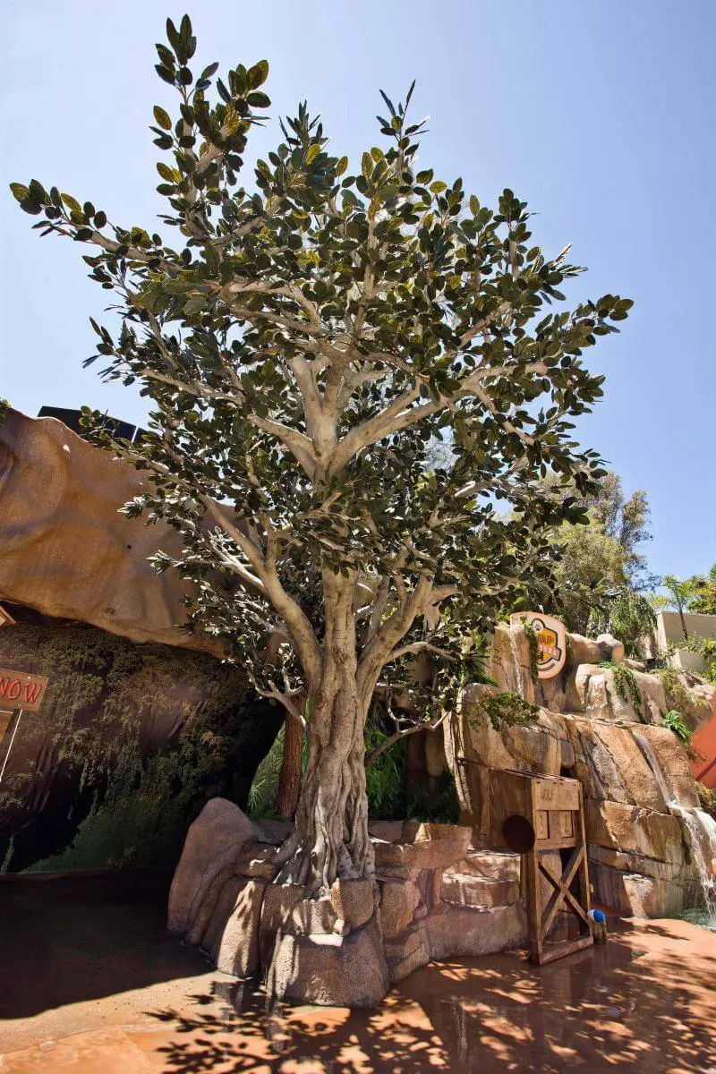 TS3 san diego zoo banyon tree 1