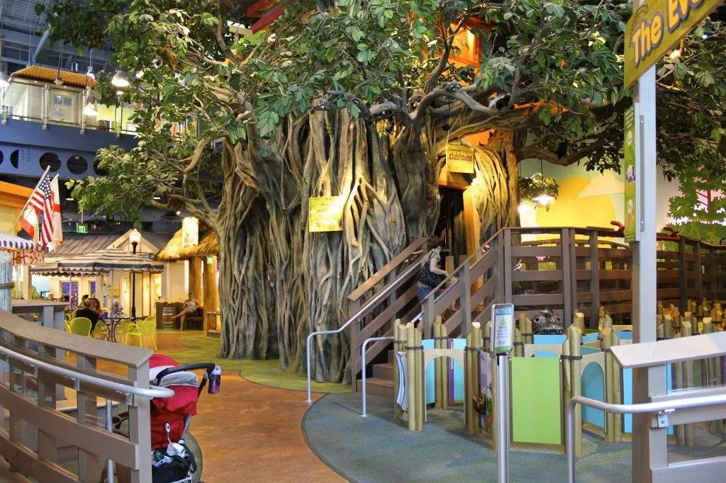 banyan cmon 7