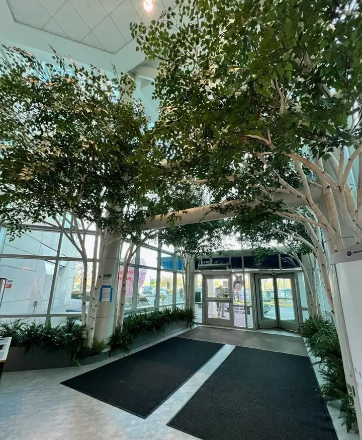 birch 3 staten island university hospital