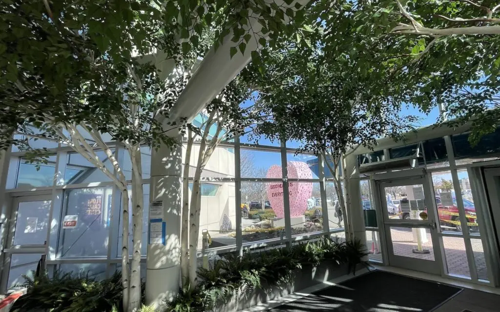 birch staten island 6