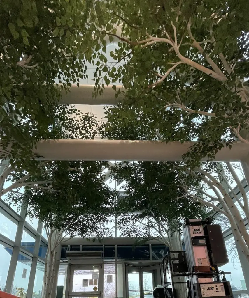 birch staten island canopies 1