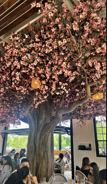 cherry column clad cocina 35 4 1