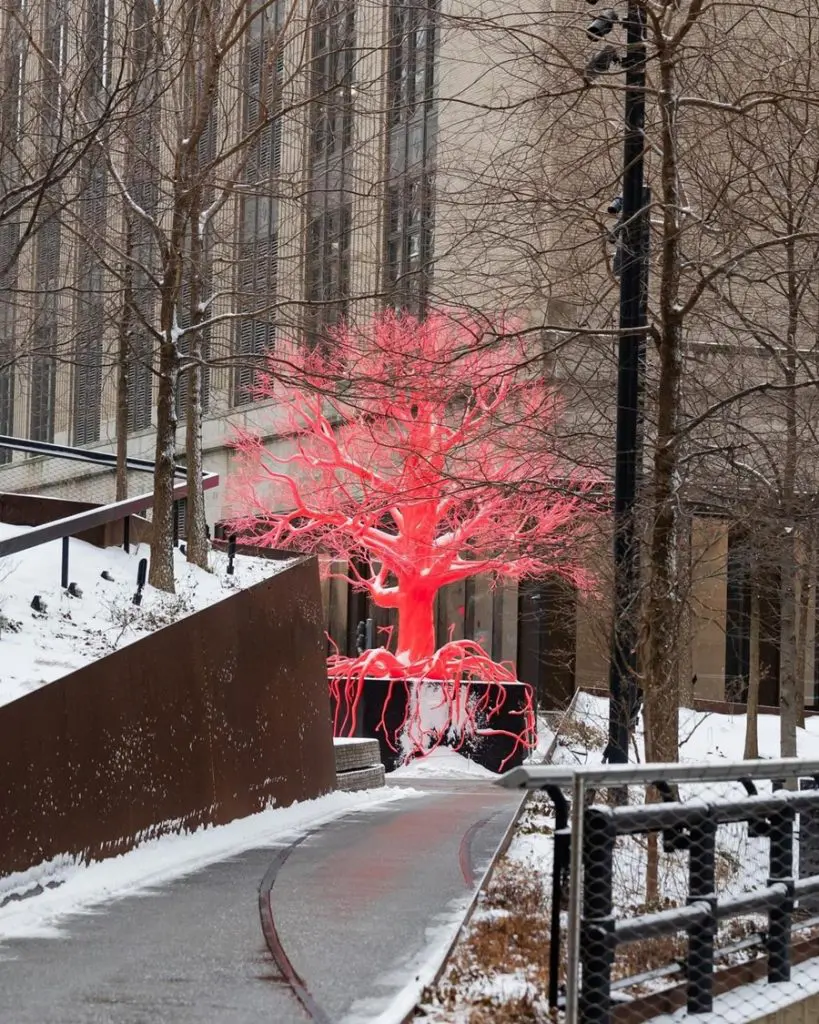 high line the old tree winter 2024 4
