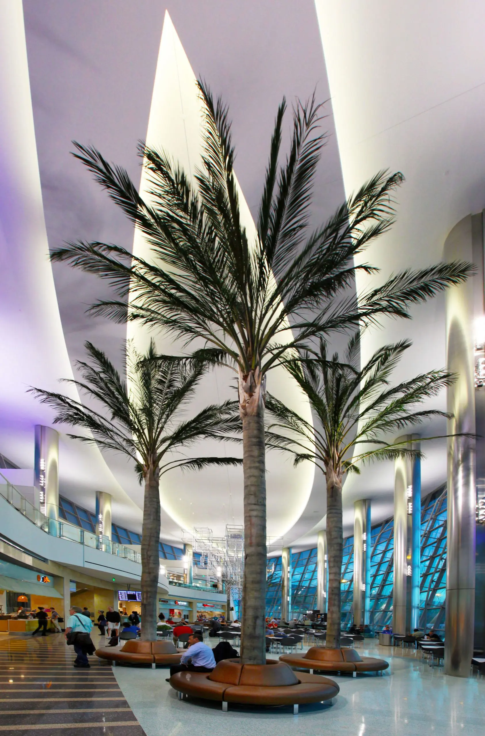 palms queen san best 2 scaled