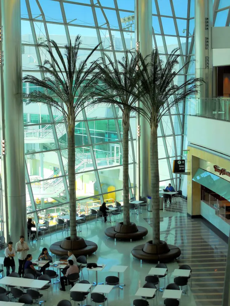 palms queen sd airport 6 scaled