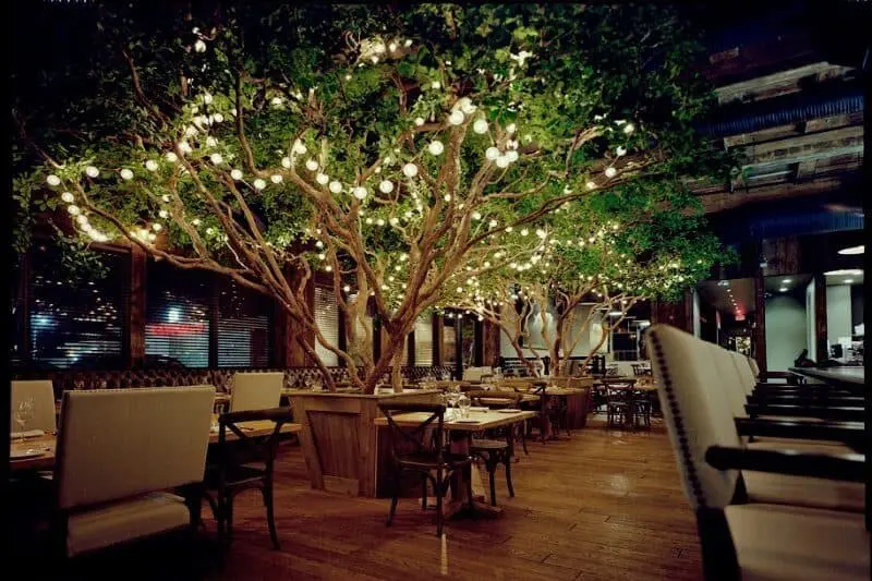 Replica Black Olive Tree Natural Trunk Wurst Beer Garden Canada Restaurant Project 1