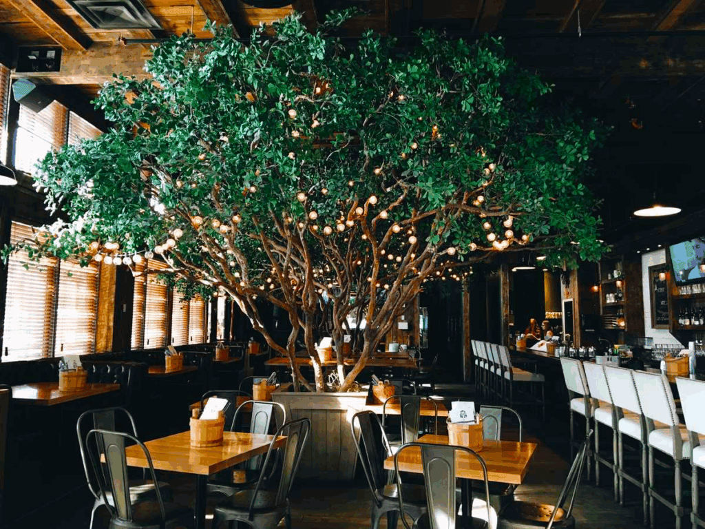 wurst black olive tree calgary bright