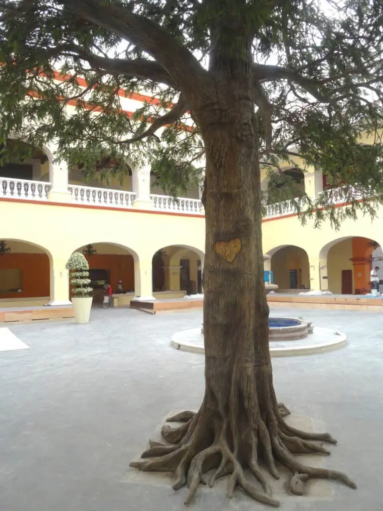 cypress hard rock 1 scaled