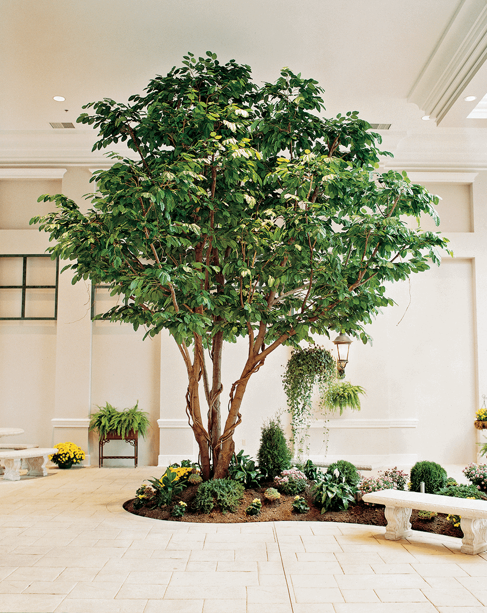 International Greenscapes