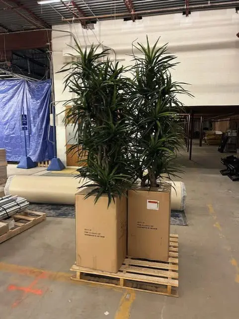 SO 73084 thumbnail image5 1