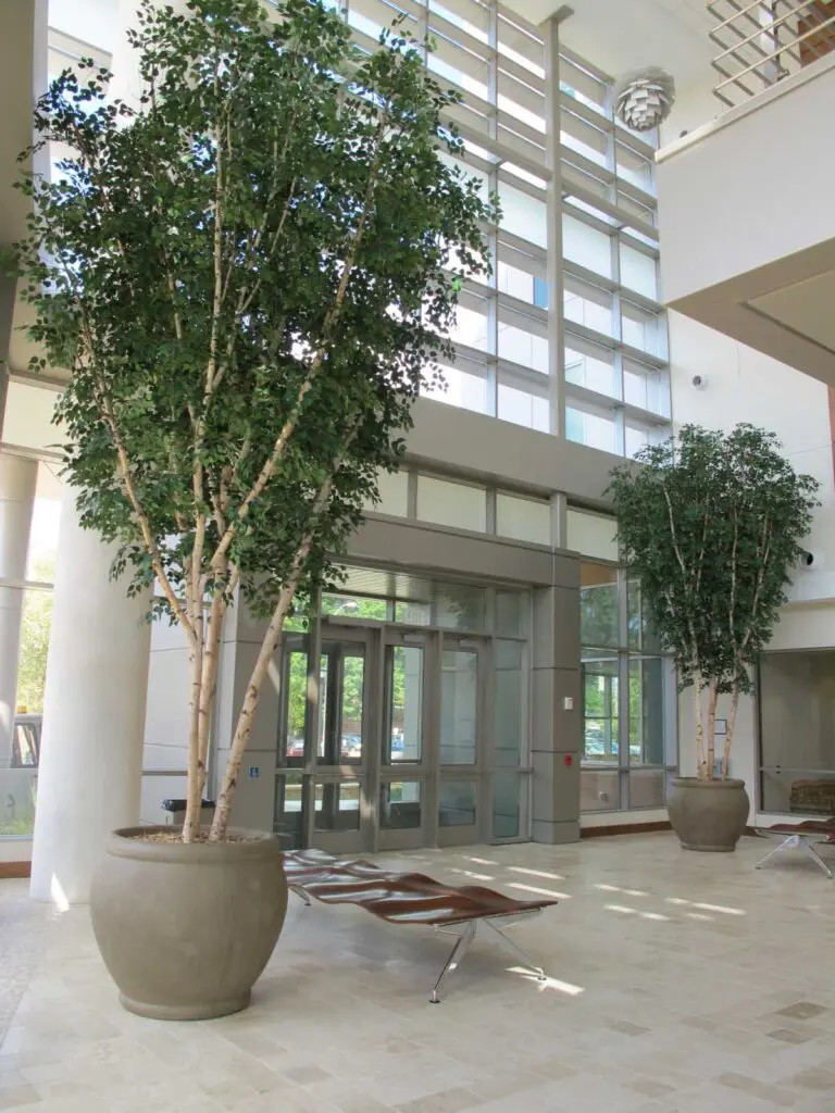 TS TR BIR 3 LOW 2010 0001a