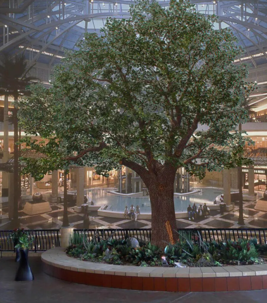 TS TR OAK 3 LOW 2020 0001