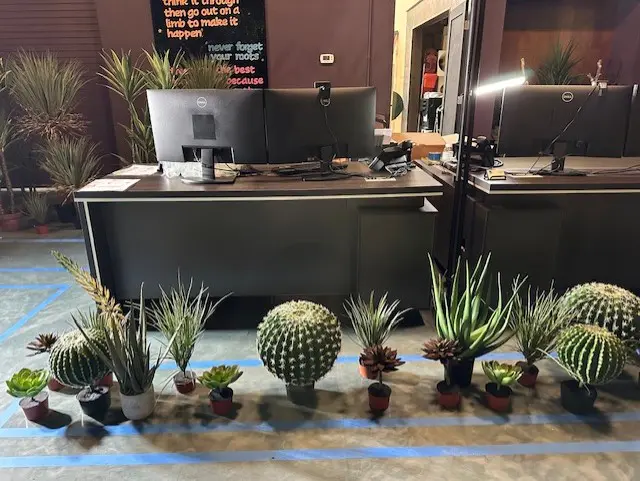 Planter 6 thumbnail IMG 0059 4 of 4