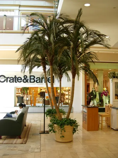 TS TR PLM 4 MED 2009 0001b