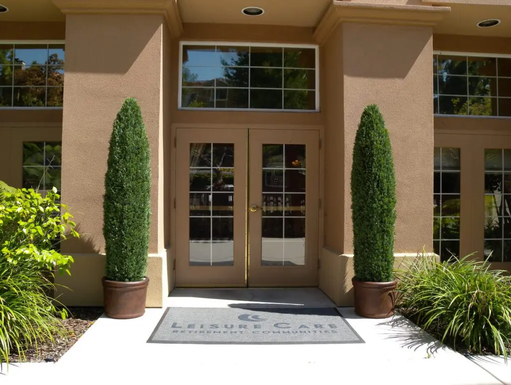 Topiary JuniperCypress Style 7