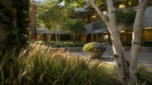 International Greenscapes meets healthcare requirements International Greenscapes meets healthcare requirements