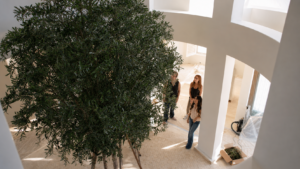 Contemplating greenery in a modern space