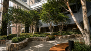Featured Image Artificial Trees and Plants for Healthcare Facilities: Safety, Compliance, and Design in 2026