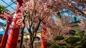 How to Choose Artificial Trees for a Lobby in 2026
