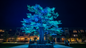 Illuminated tree in a lively plaza