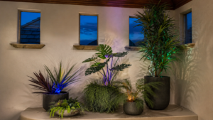 Modern indoor garden with colored lighting