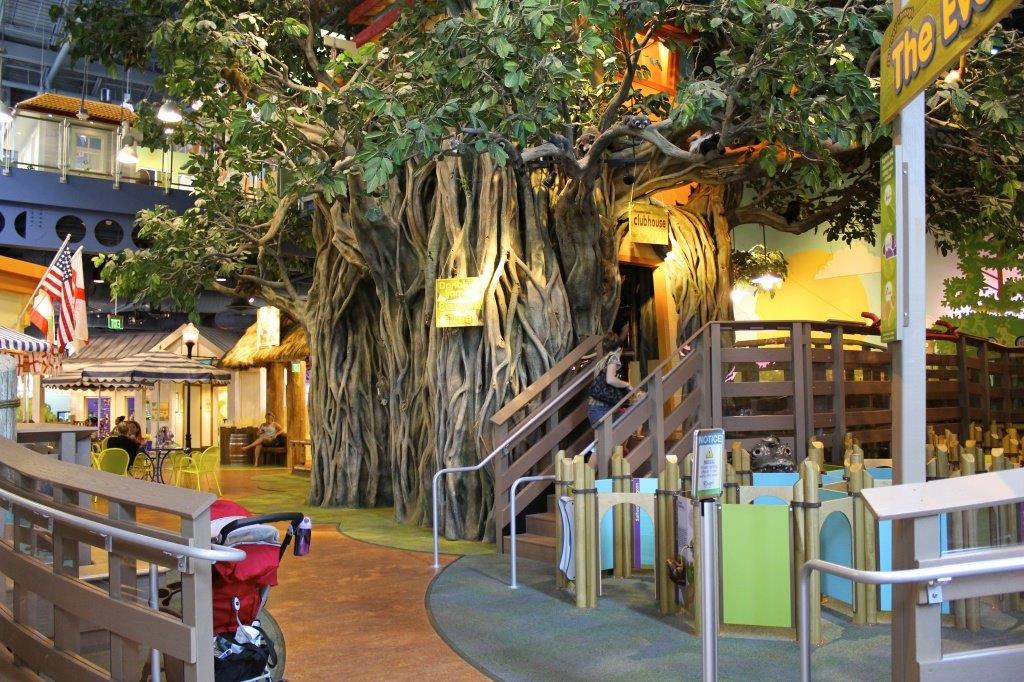 banyan cmon 7