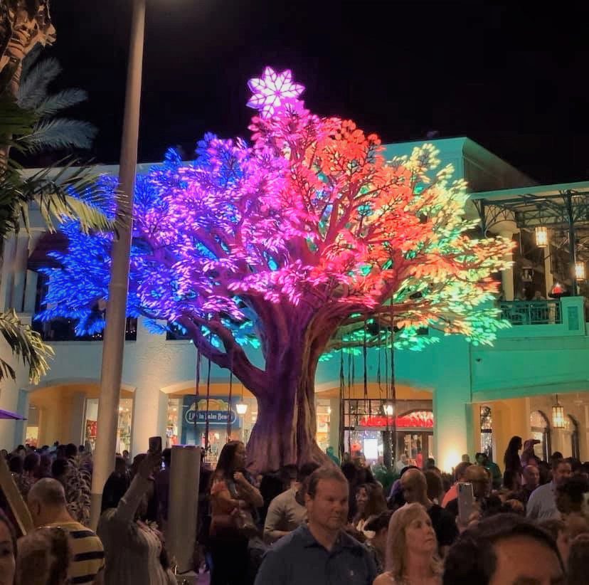 banyan rosemary led 22