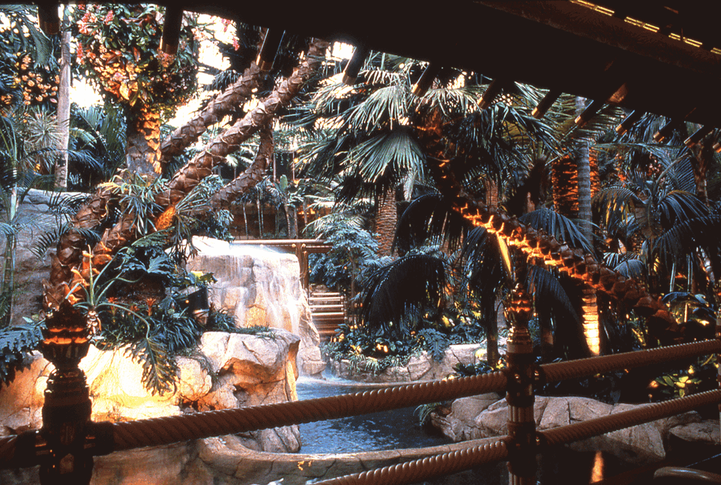 Mirage2 Washingtonia Robusta Exotic Natural Trunk Preserved Project 1