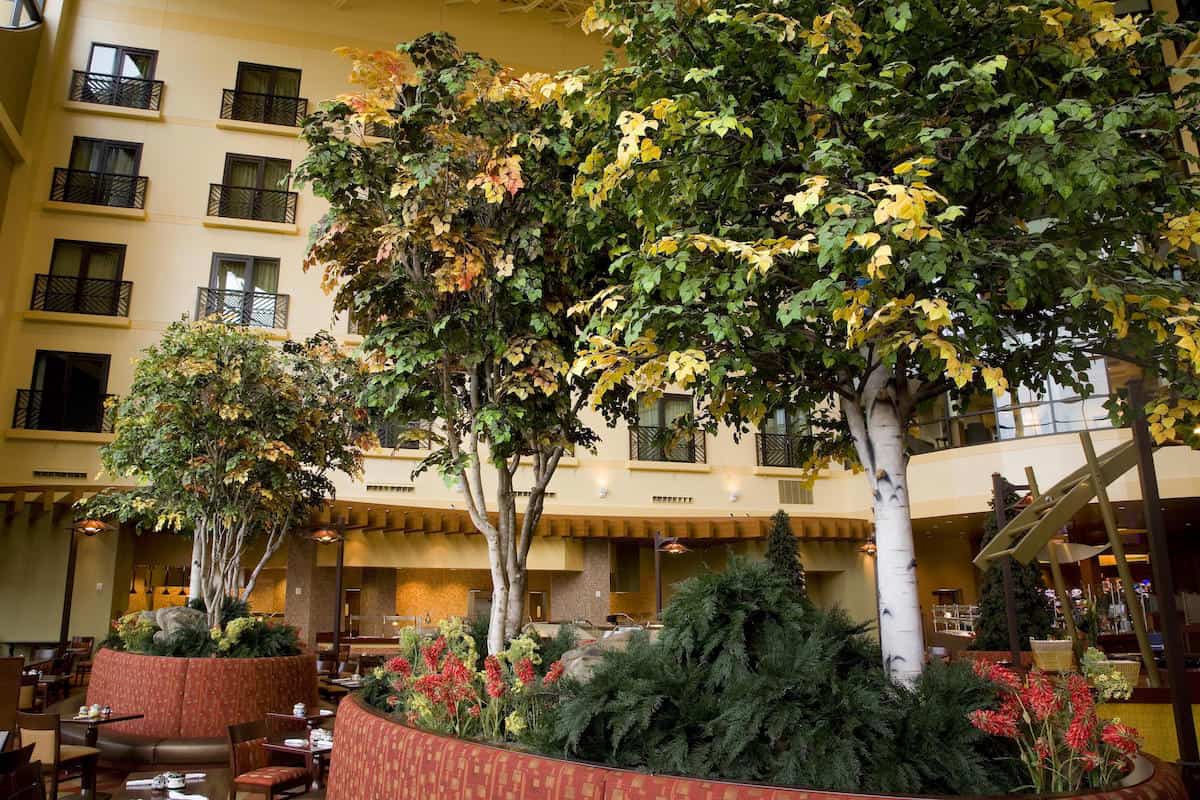 NM TR ASP 4 2008 LOW 0001