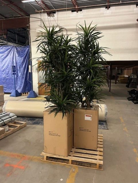 SO 73084 thumbnail image5 1