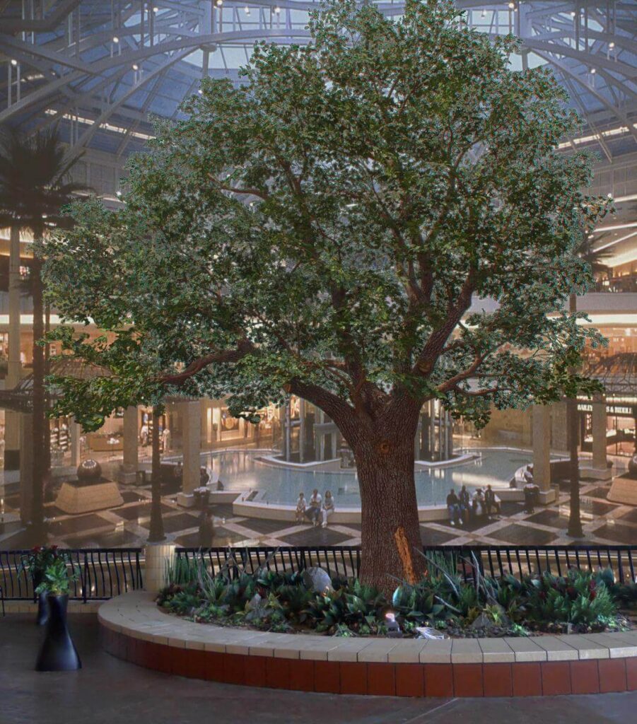 TS TR OAK 3 LOW 2020 0001