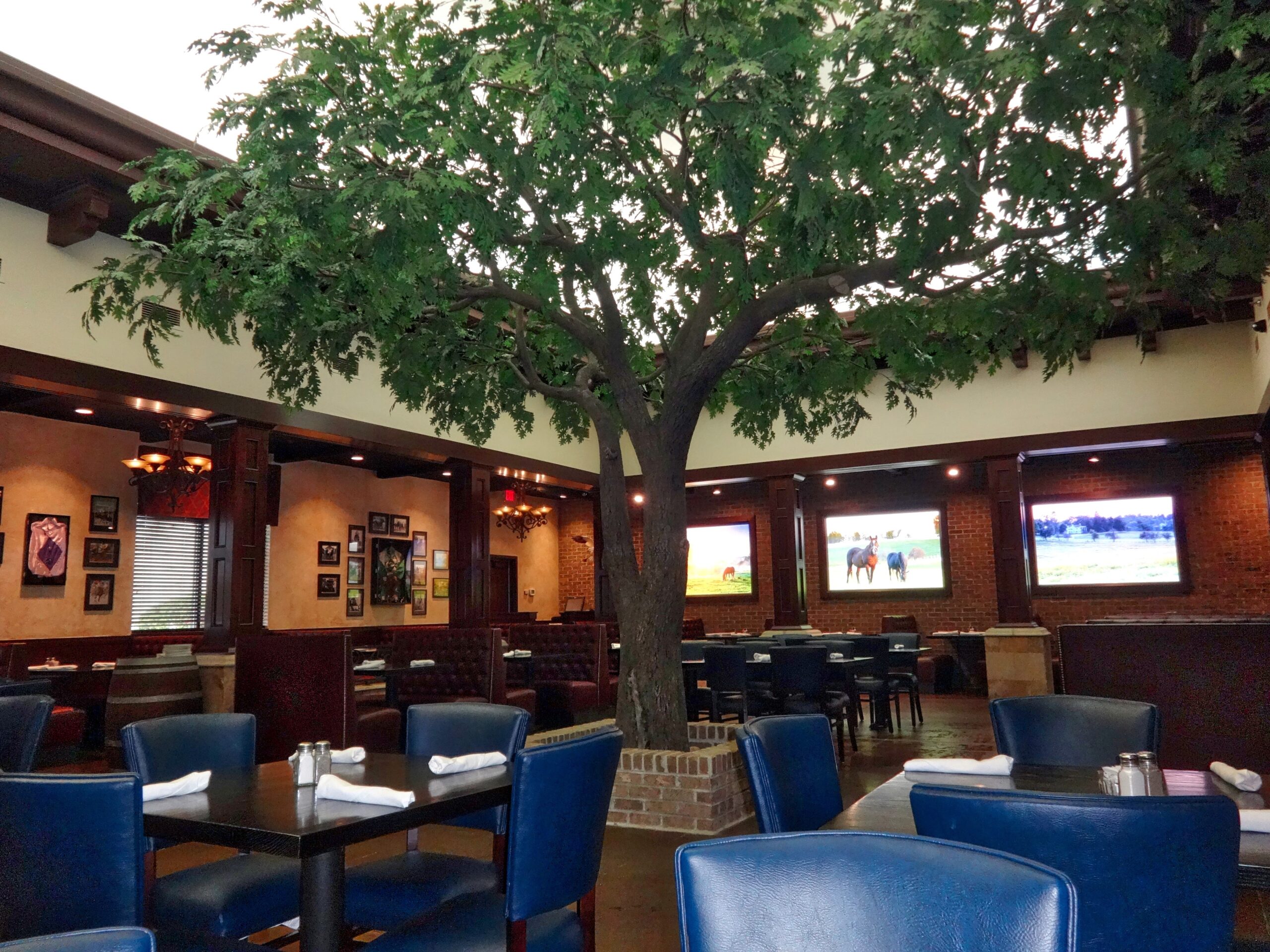 Artificial Black Oak Tree by International TreeScapes