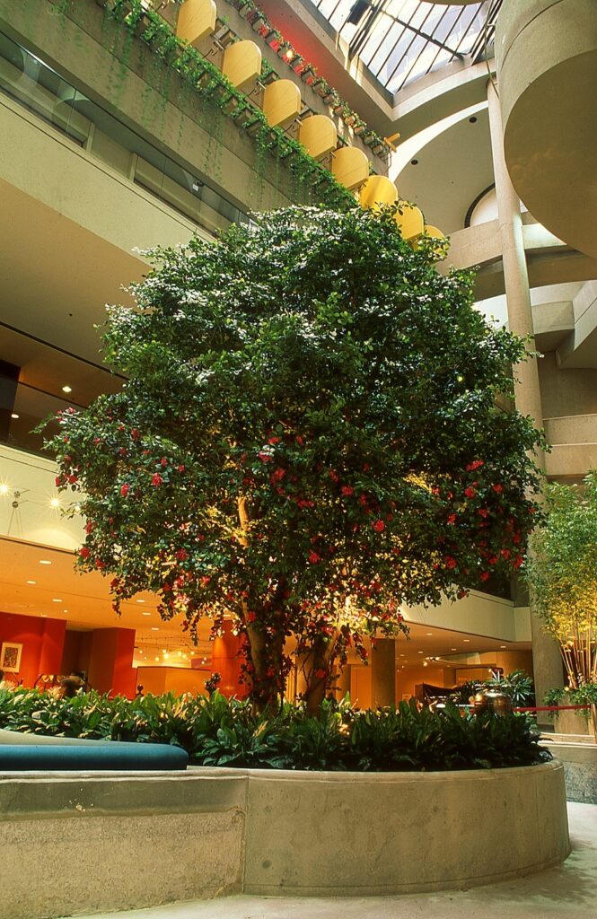 TS TR OLI 3 LOW 2015 0001