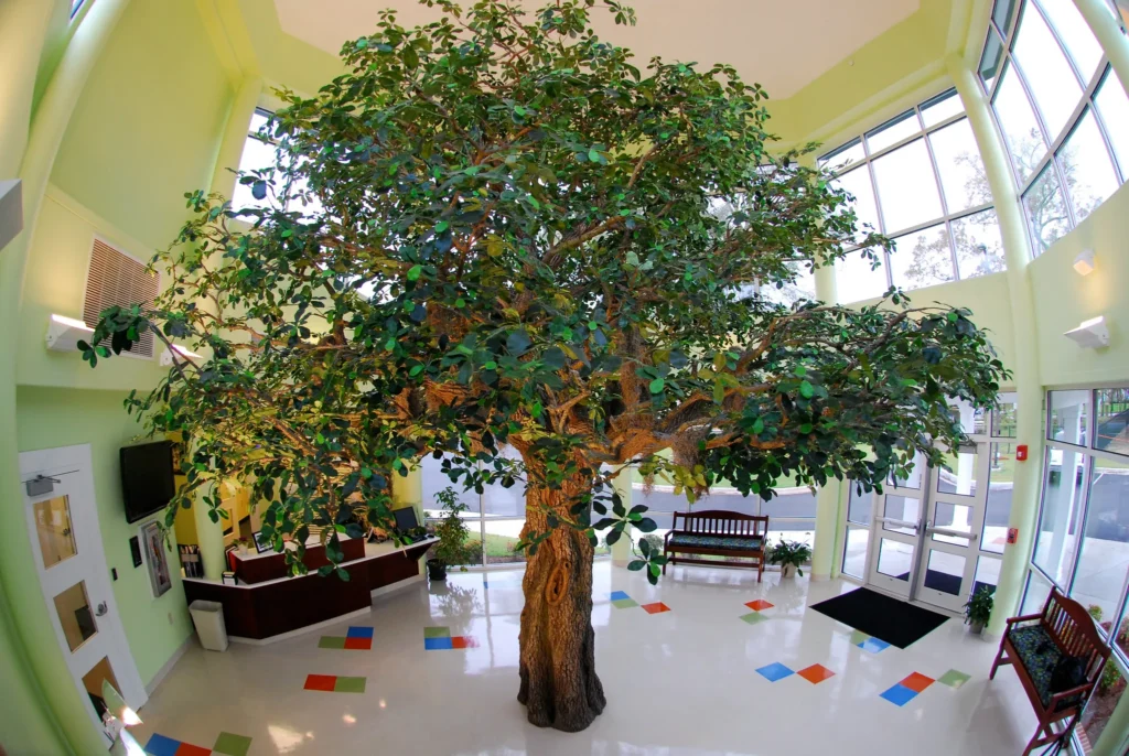 NM TR OAK 5 MED 2009 0001