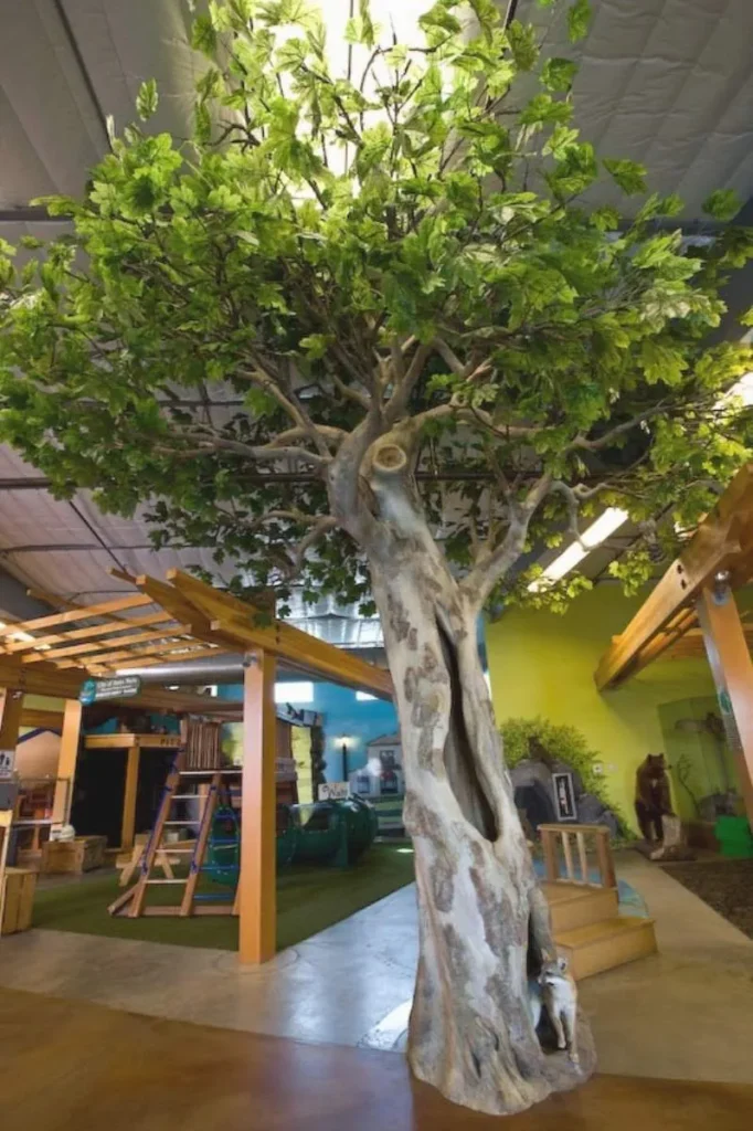 NM TR SYC 3 LOW 2008 0001