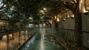 Bringing greenery to your campus with International Greenscapes