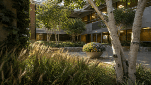 International Greenscapes meets healthcare requirements