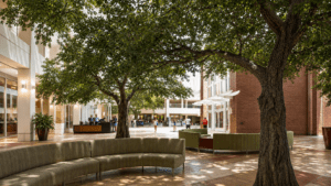 Bright indoor courtyard with seating and trees