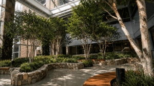 Artificial Trees and Plants for Healthcare Facilities: Safety, Compliance, and Design in 2026