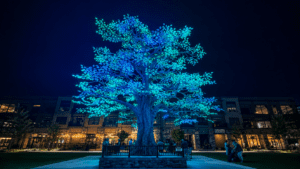 Illuminated tree in a lively plaza