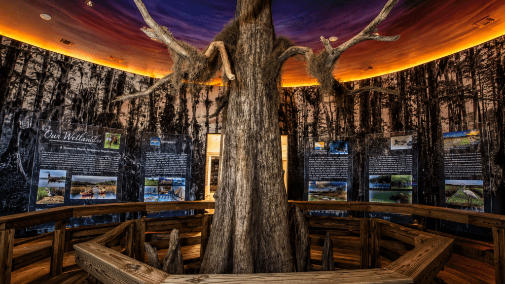 Swamp exhibit with ancient tree centerpiece