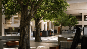 How does a educational institue project work and how International Greenscapes handle this